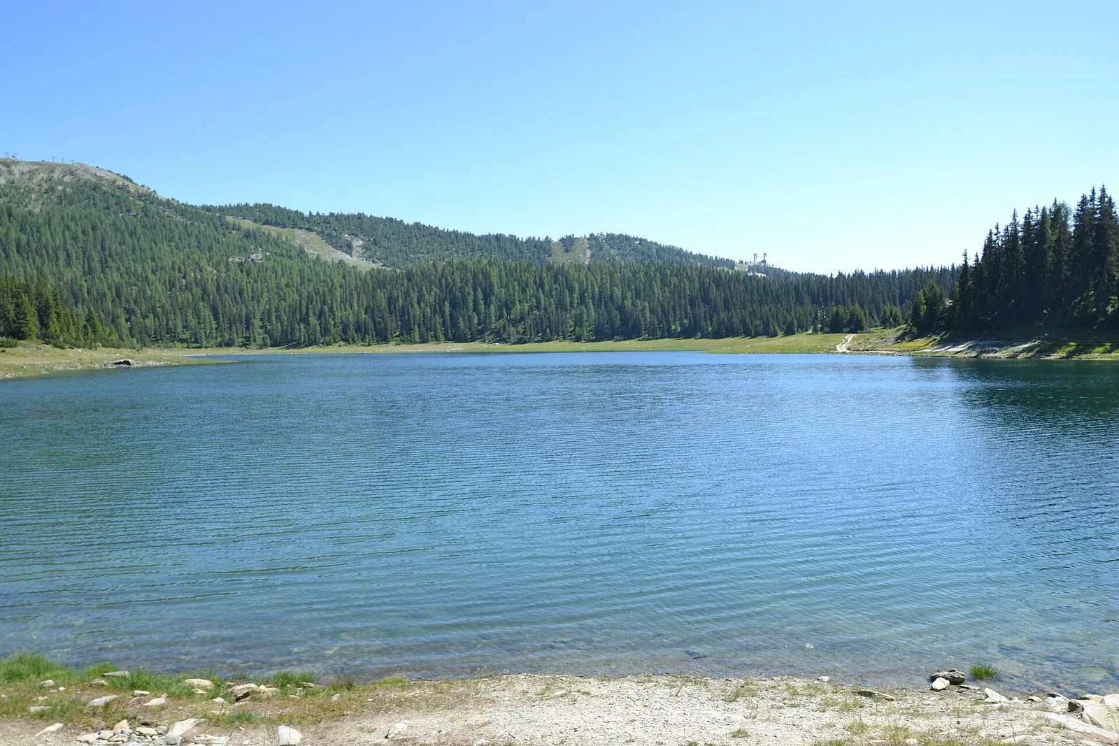 Il Lago Palù in Valmalenco circondato da boschi di larici in una giornata d'estate